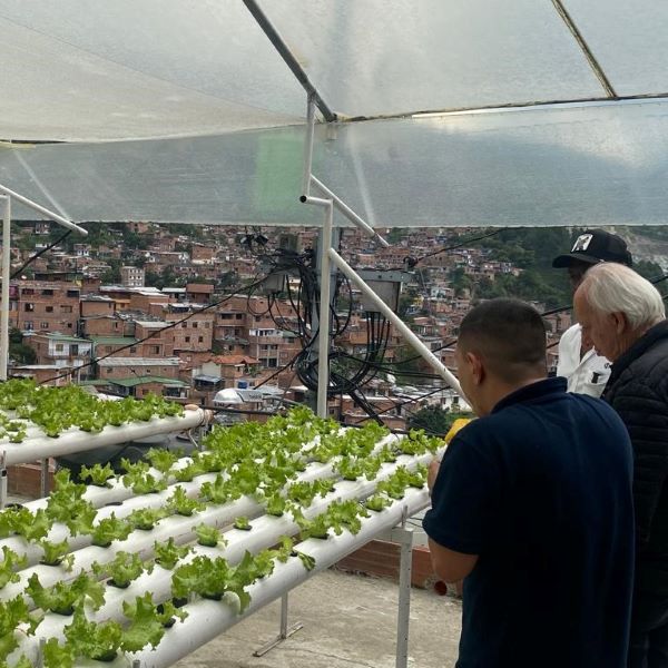 Terrazas Verdes cultivan esperanza y oportunidades en la Comuna 13