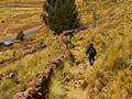 Bolivia---Camino-Lago-Titicada