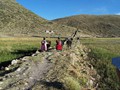 Peru---Camino-Pomata---Puno