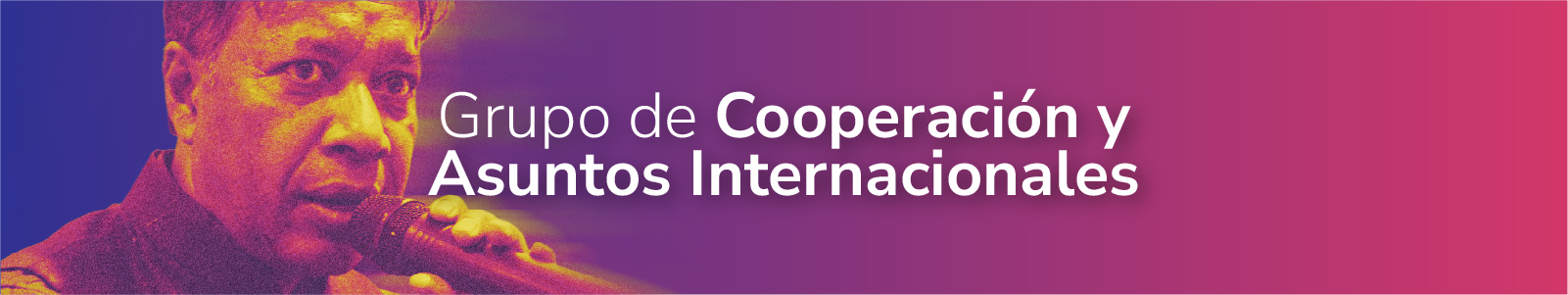 Grupo de cooperación y asuntos internacionales