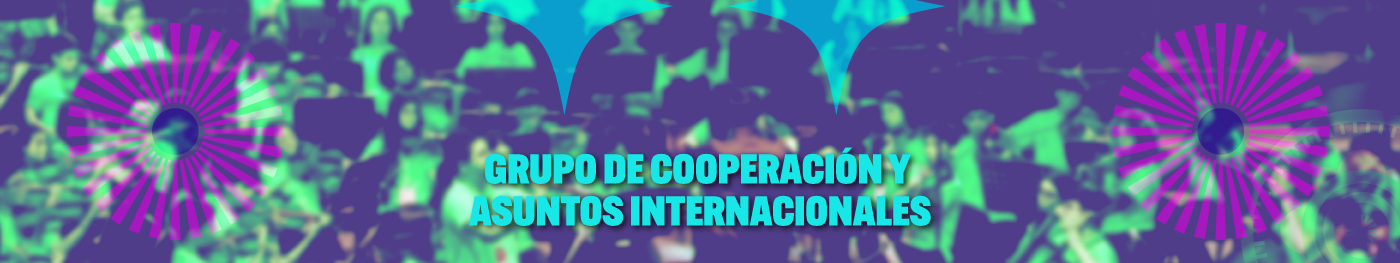 Grupo de cooperación y asuntos internacionales