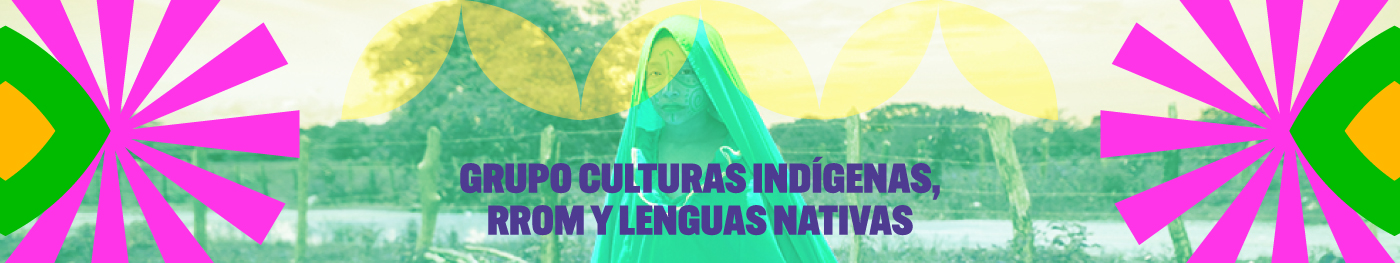 Grupo Culturas Indígenas, Rrom y Lenguas Nativas 