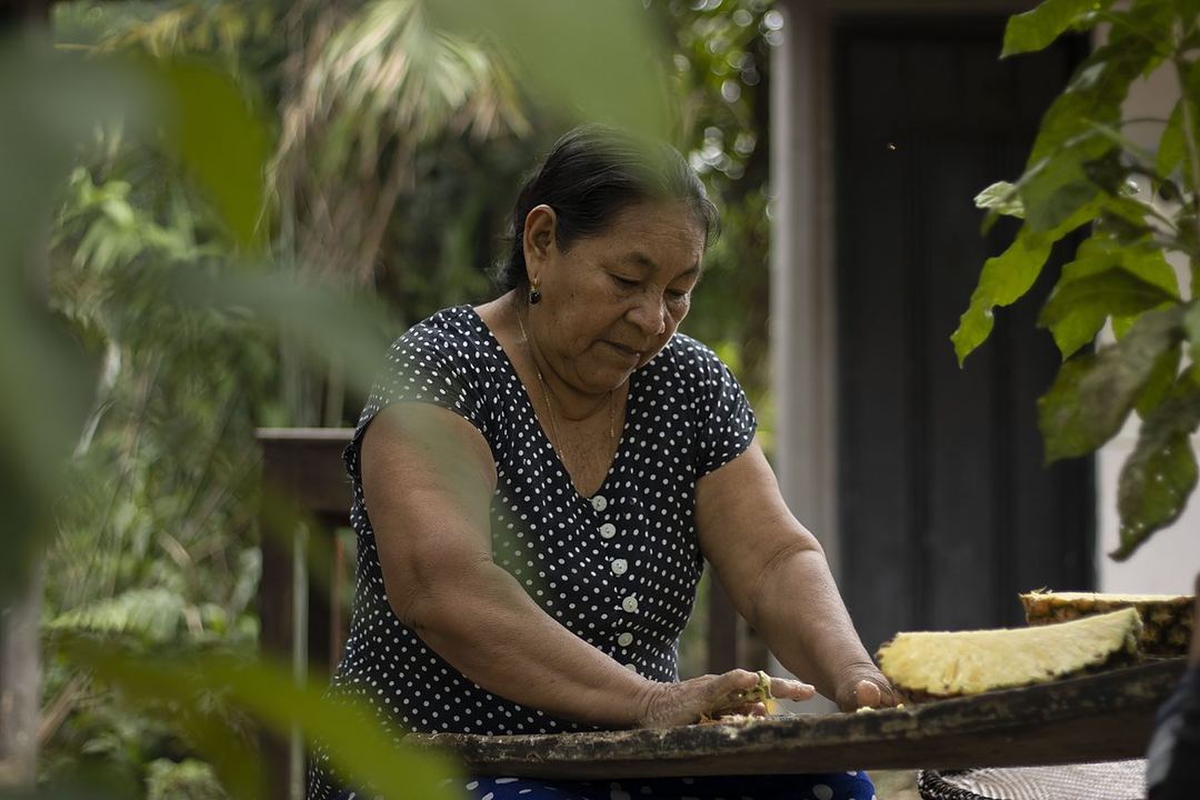 El casabe, saber de la chagra