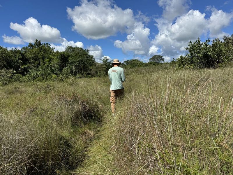 Senderos entre la sabana y el bosque