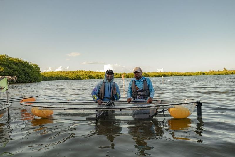 Eco Fiwi, manglares y laguna en San Andrés