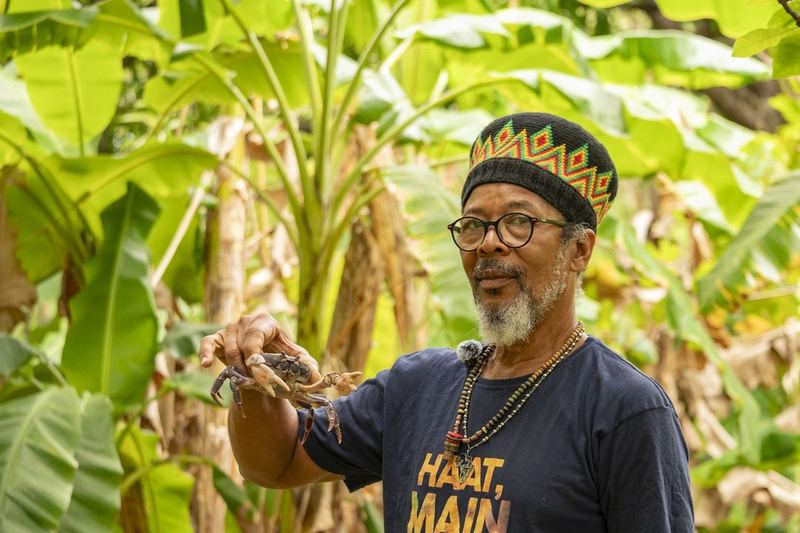 The Ital Spot (Job's), cultura rastafari y comida Ital en San Andrés