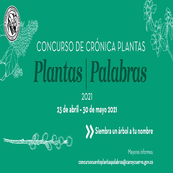 Concurso de Crónica Plantas- Plantas l Palabras 2021- ¡Anímate y Participa! Invita Instituto Caro y Cuervo