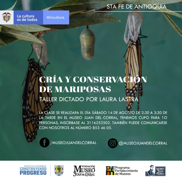 Taller 'Cría y conservación de mariposas' - Invita Museo Juan del Corral - Santa Fé de Antioquia