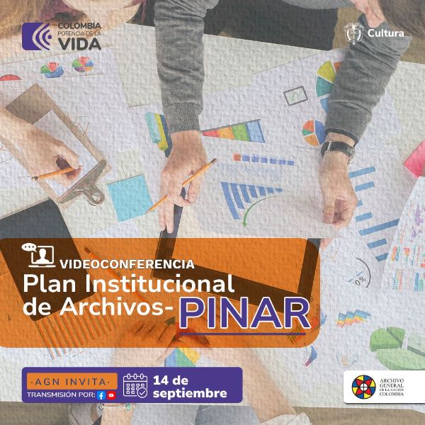 Video Conferencia Plan Institucional de archivos - Pinar
