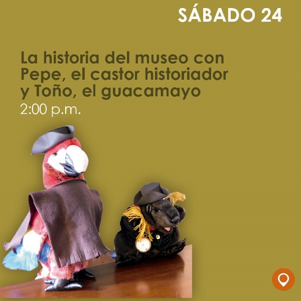 ¡La historia del museo con Pepe, el castor historiador y Toño, el guacamayo! - Invita Museo de la Independencia Casa del Florero.
