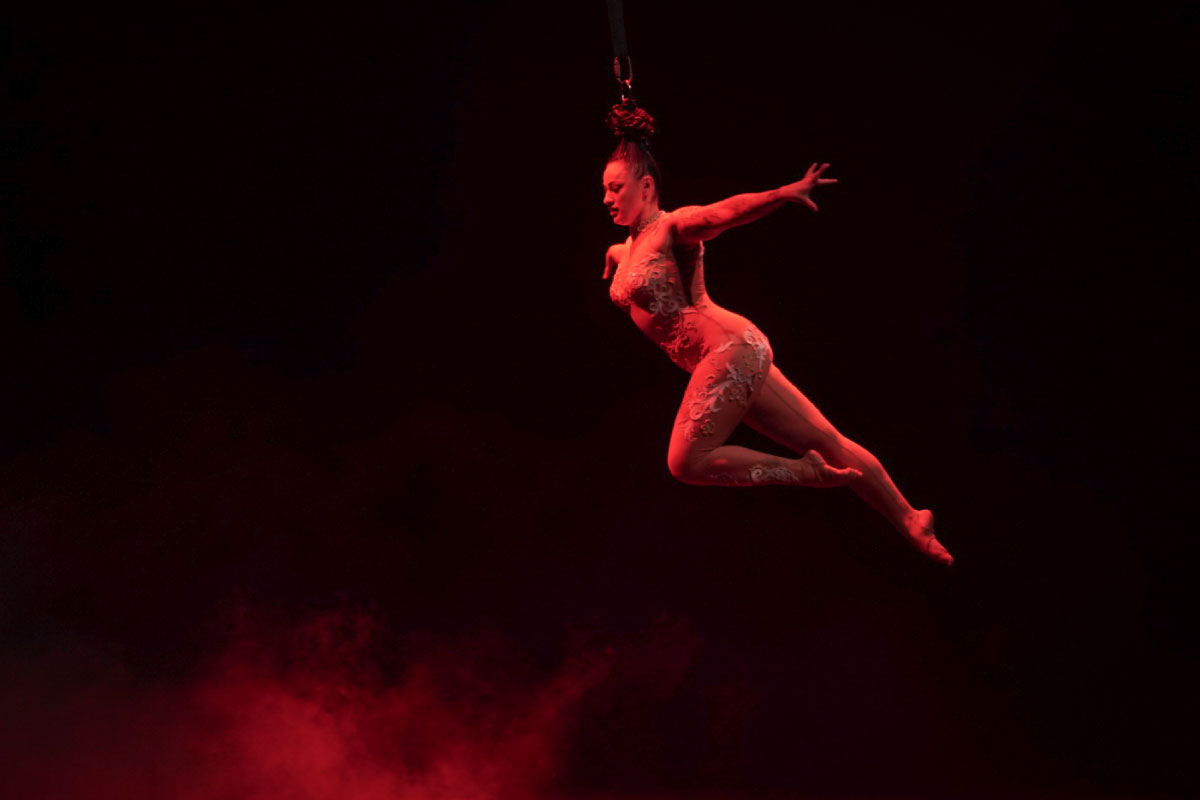 Profesión de artistas circenses