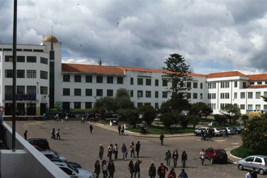 artistas formadores sabedores