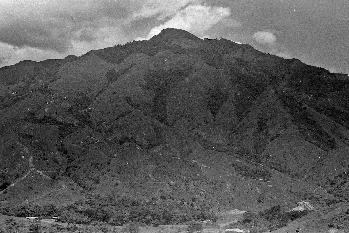 Portadores de palabras