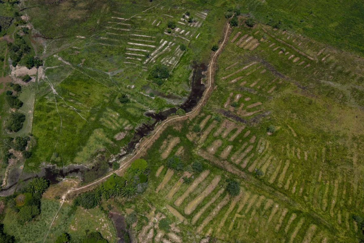 Las Mojanas