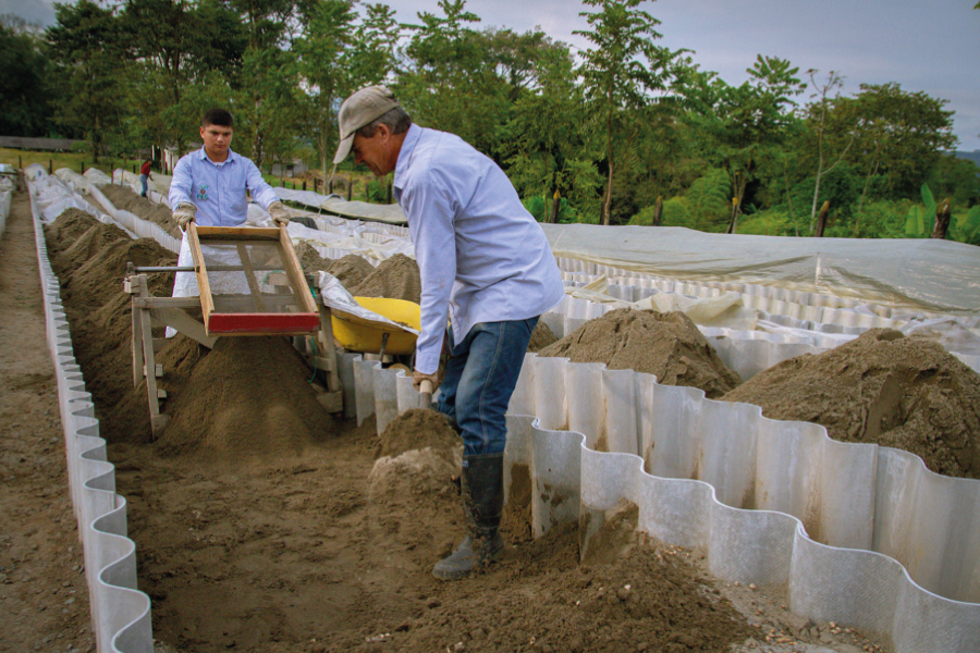 México y Colombia inician cooperación para fortalecer procesos patrimoniales