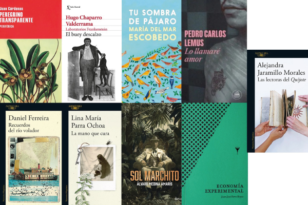 Premio Nacional de Novela 2024