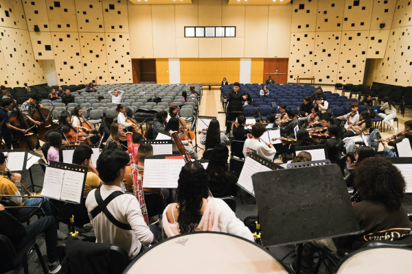 sonidos para la contruccion de paz