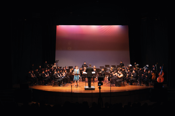 sonidos para la construccion de paz