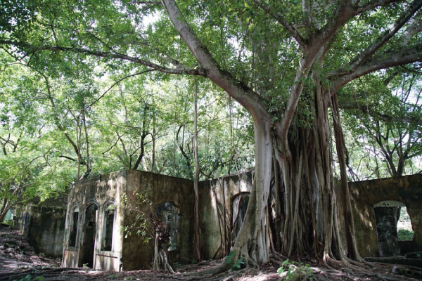 El Gobierno Nacional conmemorará los 39 años de la tragedia de Armero este  10 de noviembre