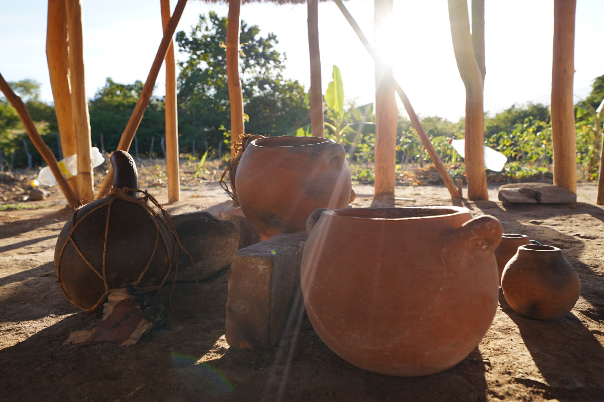 UNESCO-COCA