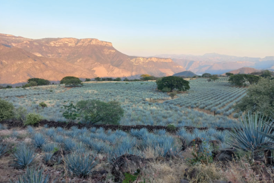 México y Colombia inician cooperación para fortalecer procesos patrimoniales