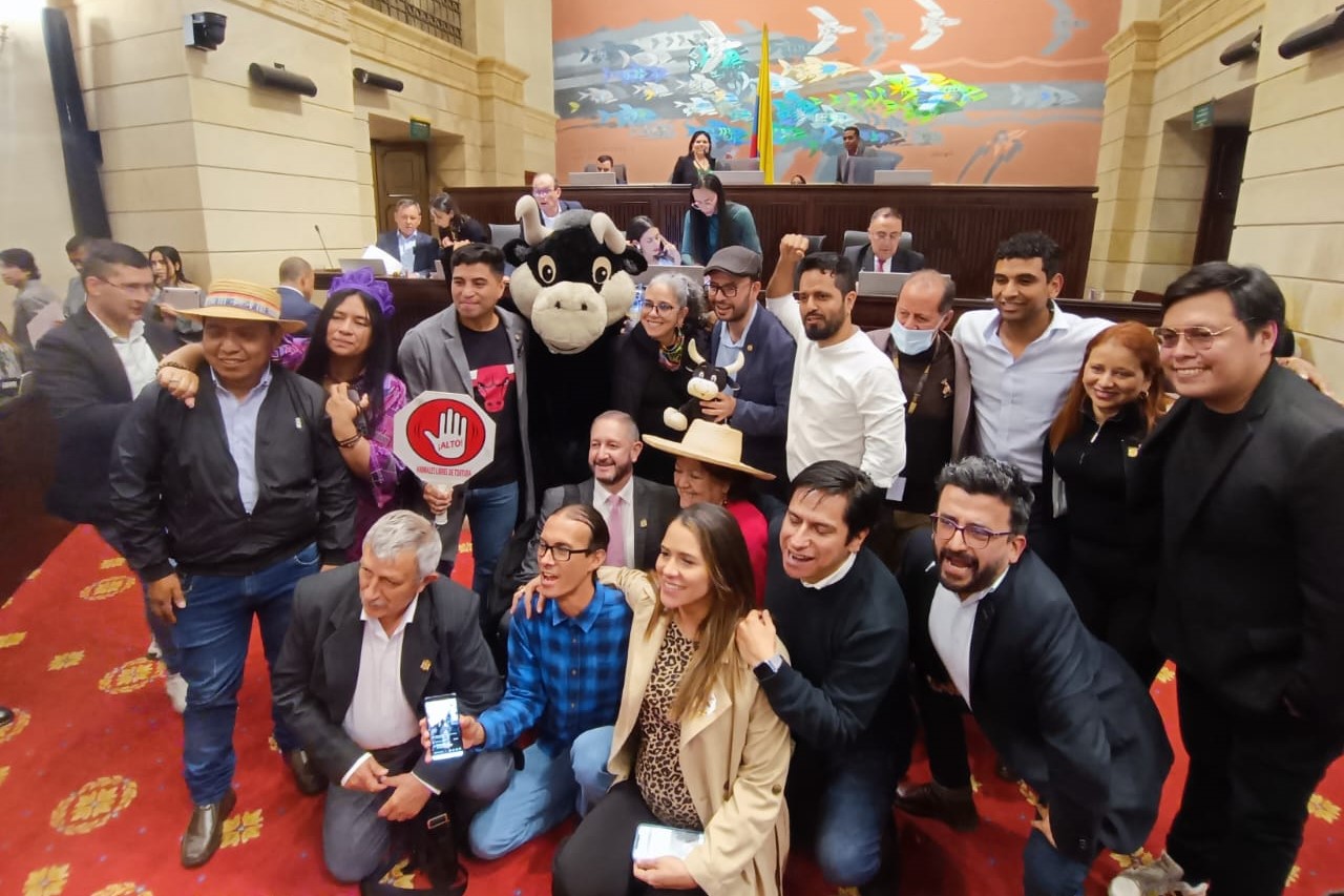 ¡Histórico!: aprobado en plenaria de la Cámara de Representantes el proyecto que prohíbe las corridas de toros en Colombia