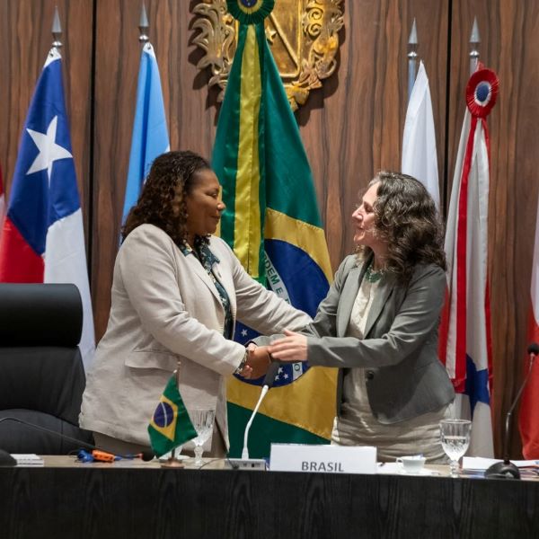 Los países del Mercosur refuerzan su compromiso con la lucha contra el racismo
