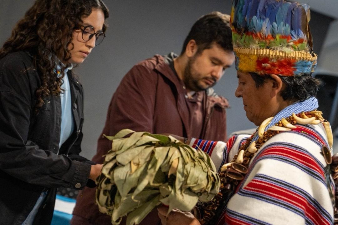 Concertación indígena