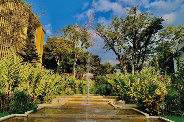 UIS CONSTRUCCION DE PAZ