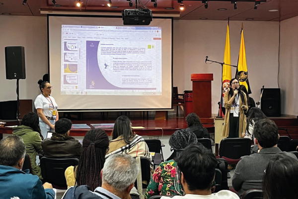 sonidos para la construccion de paz